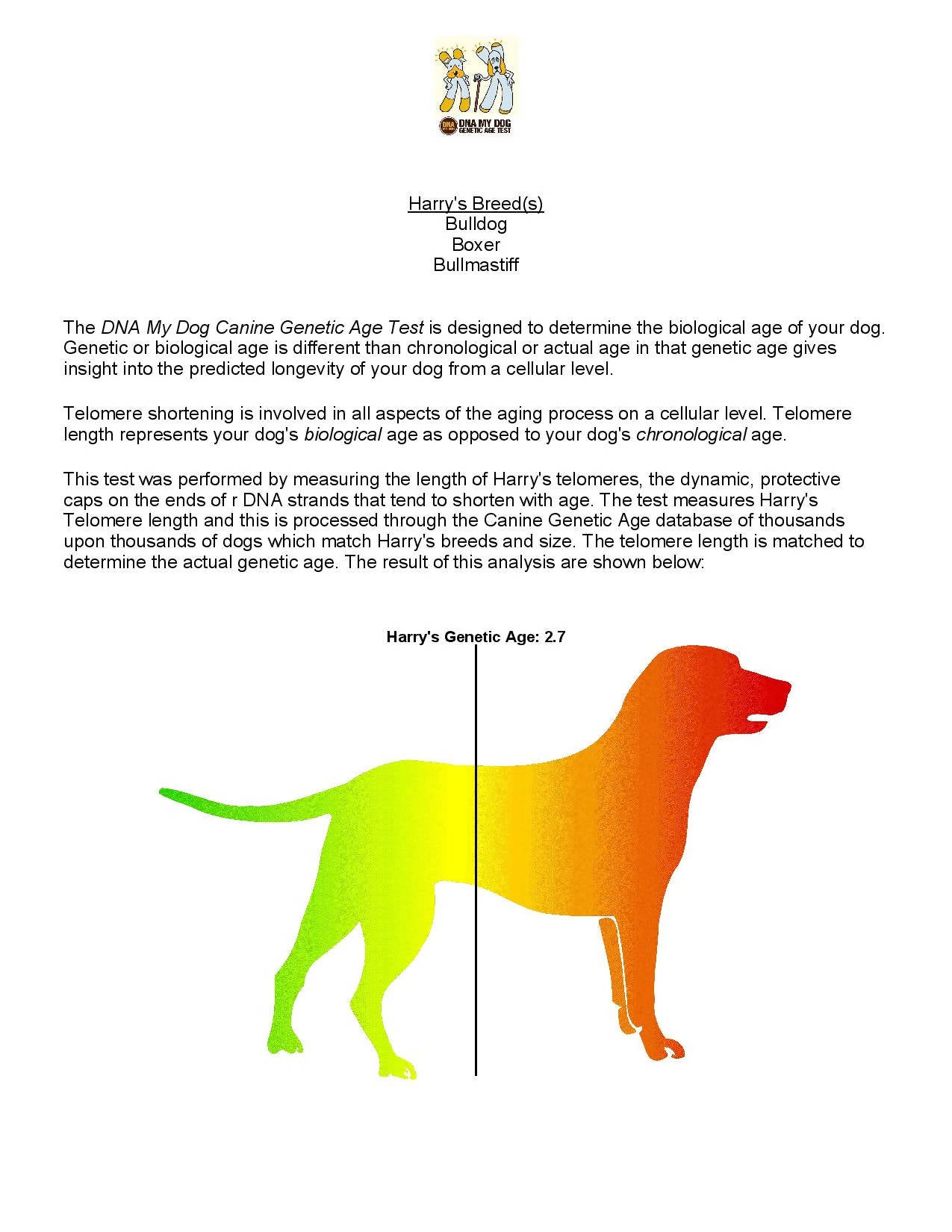 how to determine dog breed test